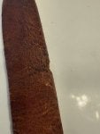 IMG_2141.jpeg